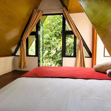 Chalets Silencio Del Bosque La Fortuna Ngoại thất bức ảnh