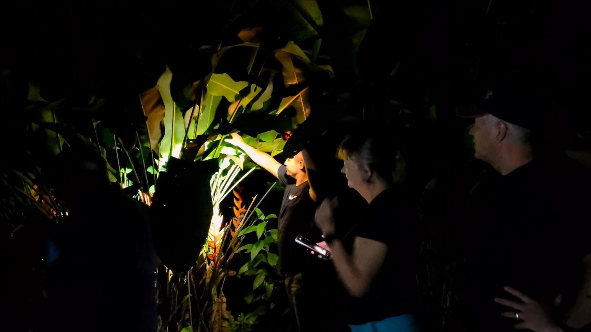 Chalets Silencio Del Bosque La Fortuna Ngoại thất bức ảnh