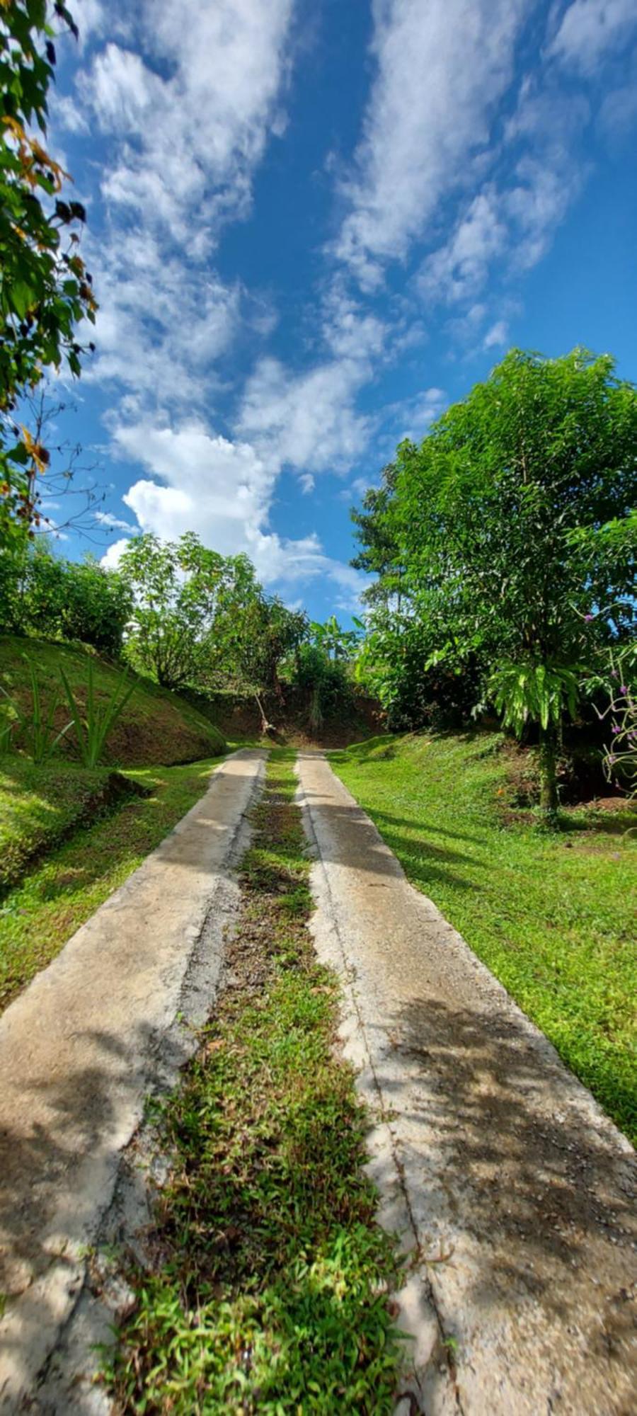 Chalets Silencio Del Bosque La Fortuna Phòng bức ảnh