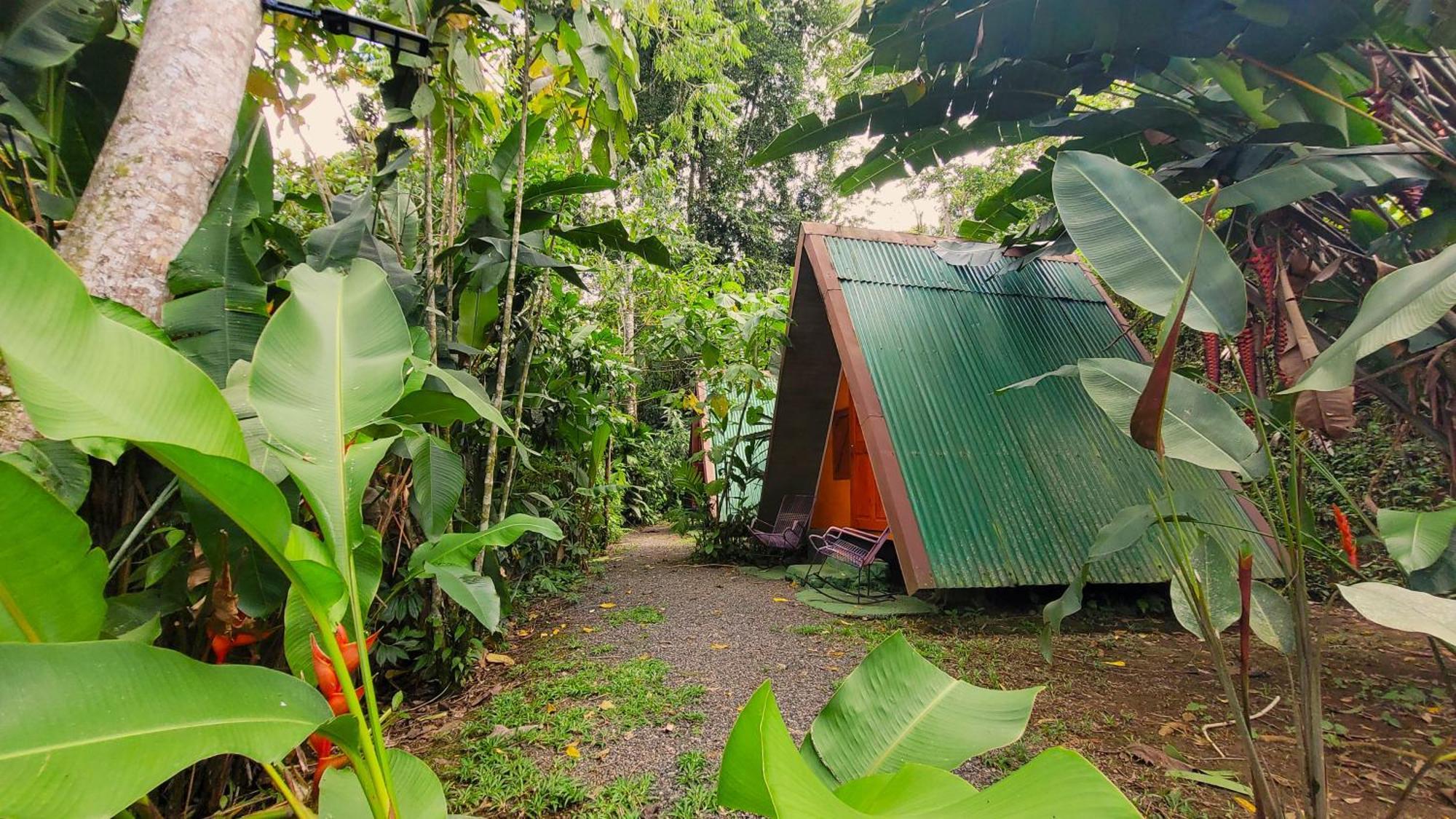 Chalets Silencio Del Bosque La Fortuna Ngoại thất bức ảnh